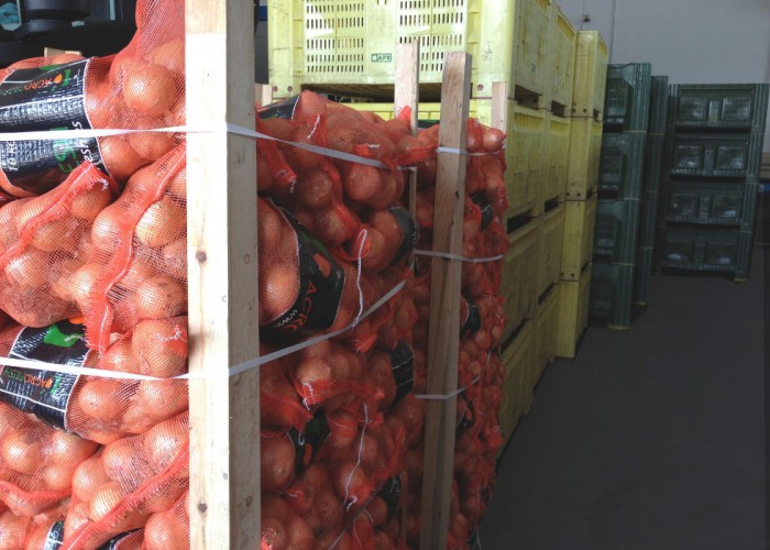 zanotti-pallet-cipolle