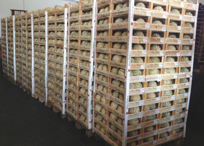 zanotti-pallet-meloni