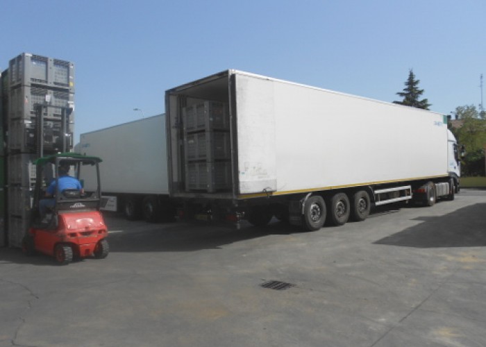 zanotti-trasporti-bologna